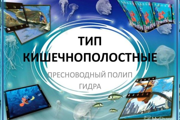 Кракен даркнет store kraken dark link