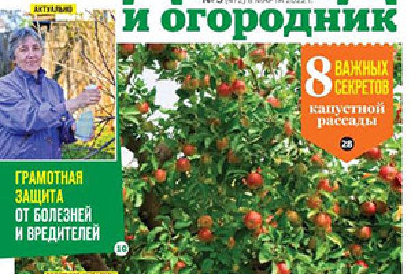 Вход в кракен чтобы купить меф