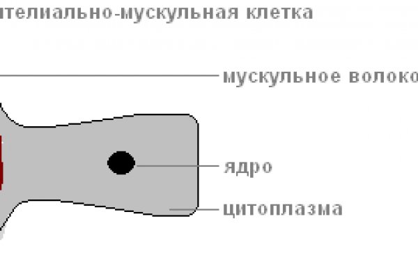 Kraken смылка