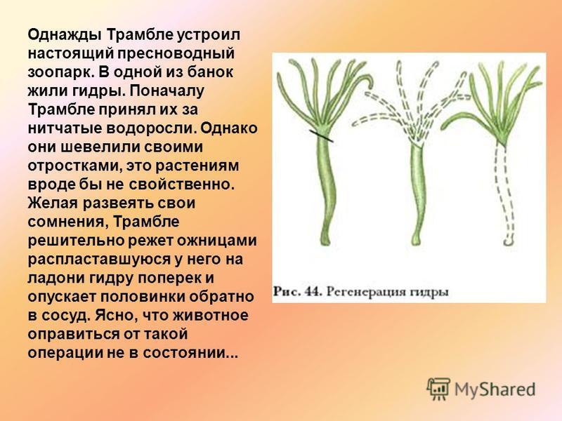 Kra26.at